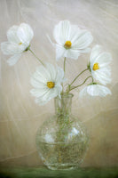 aluminium-print-cosmos-breeze