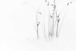 aluminium-print-black-on-white
