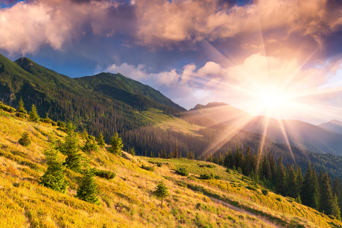 3-piece-canvas-print-beginning-of-autumn