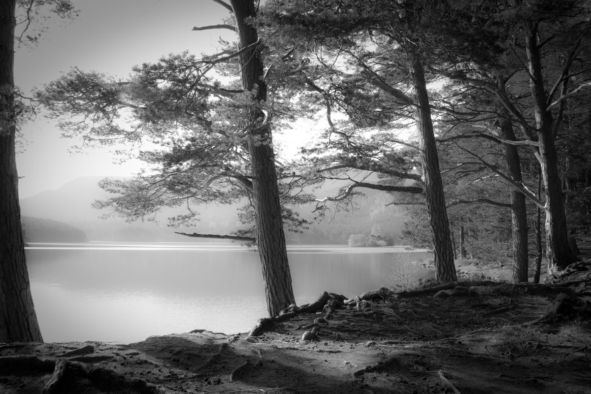 3-piece-canvas-print-loch-an-eilein