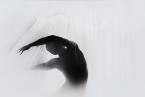 framedposter-print-the-dance-of-silence