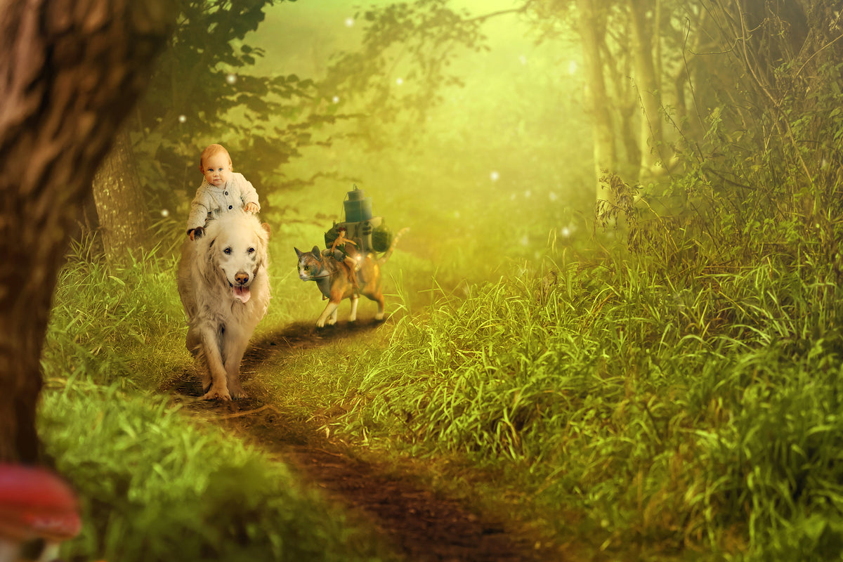 poster-print-forest-excursion