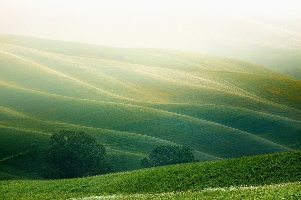framedcanvas-print-tuscany