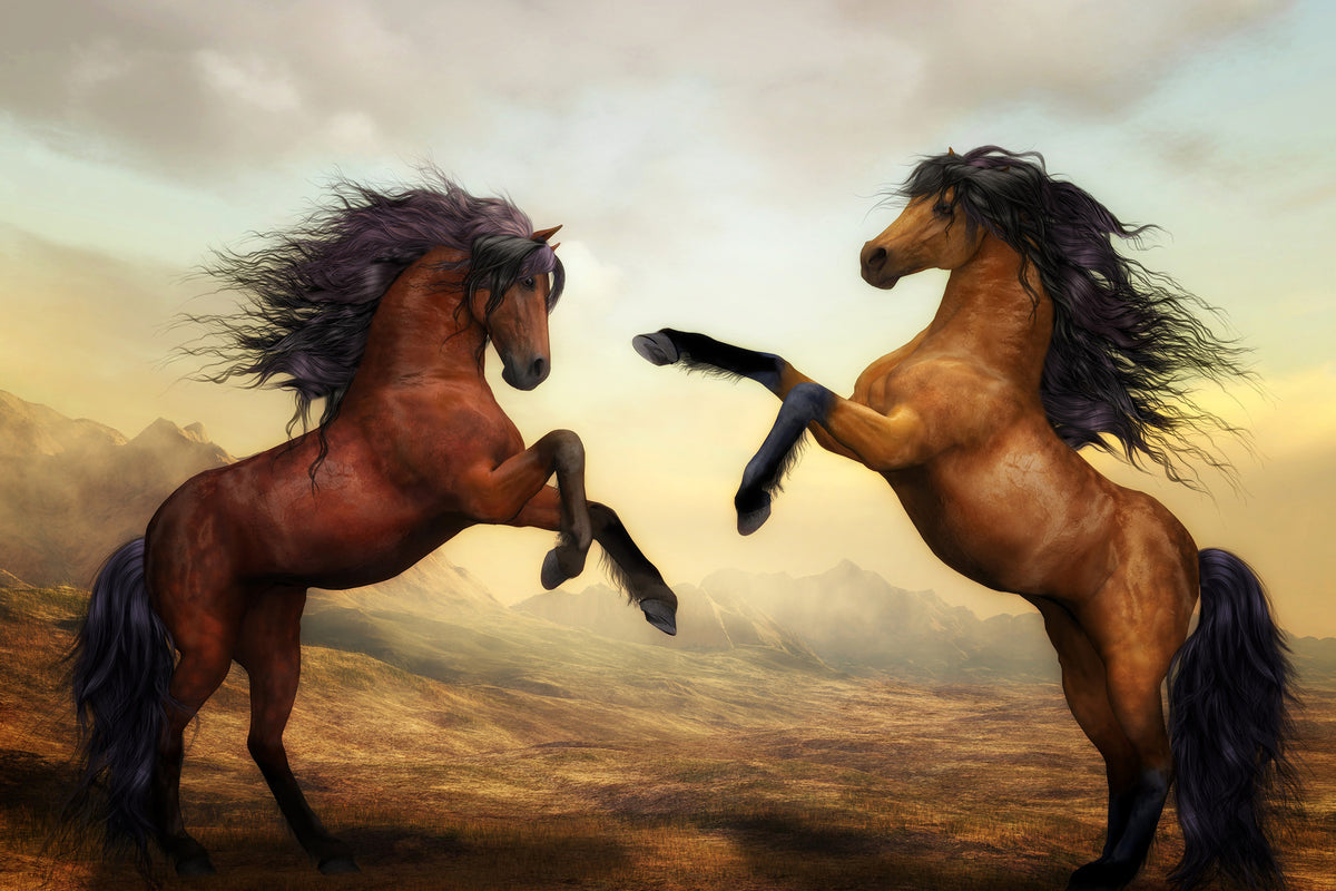 3-piece-aluminium-print-two-wild-horses