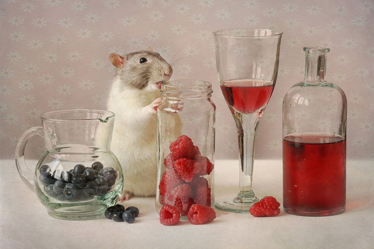acrylic-print-snoozy-with-fruit-x