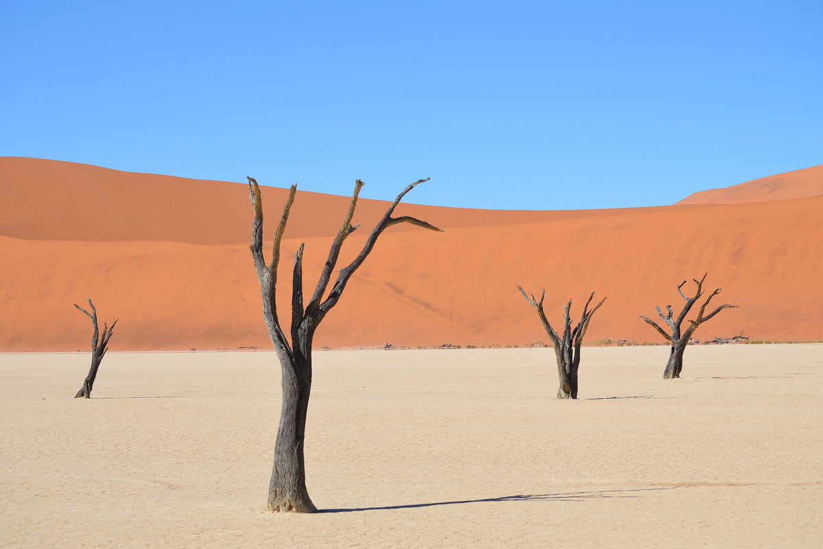 framedcanvas-print-sossusvlei-namibia