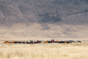 framedcanvas-print-incredible-maasai