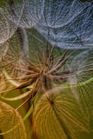 canvas-print-inside-x