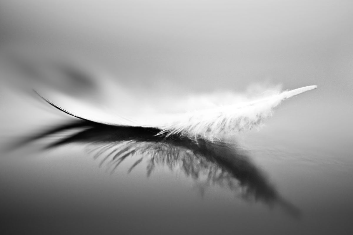 canvas-print-white-xza
