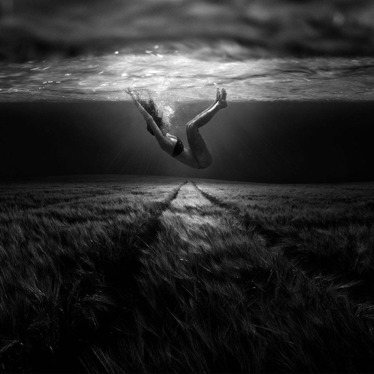 acrylic-print-underwaterlandream
