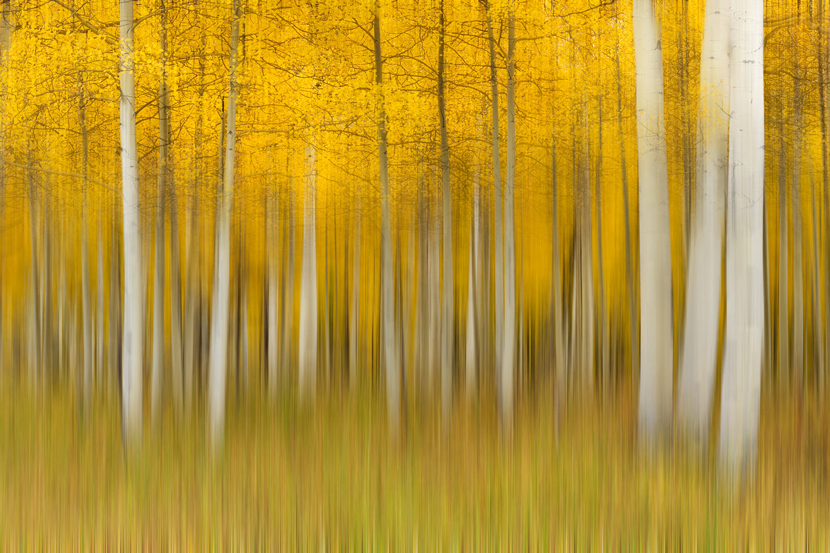 modern-3-piece-aluminium-print-autumn-dream-ii