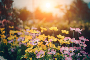 3-piece-canvas-print-the-flowers