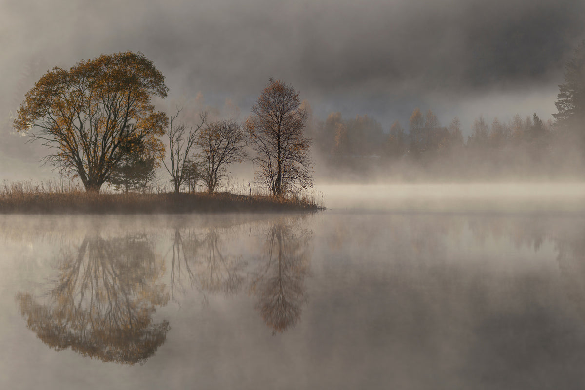 aluminium-print-october-morning