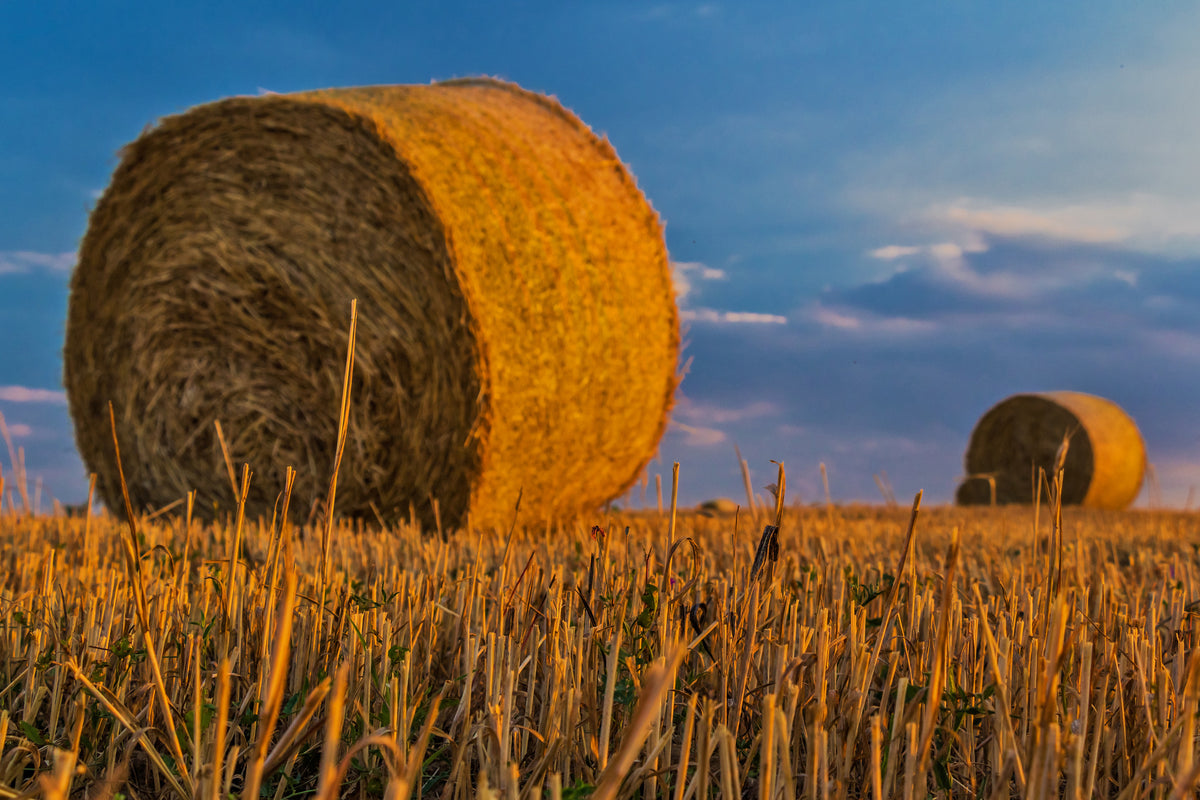 framedcanvas-print-straw-bales