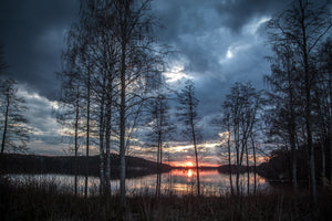 3-piece-acrylic-print-trees-at-the-lake