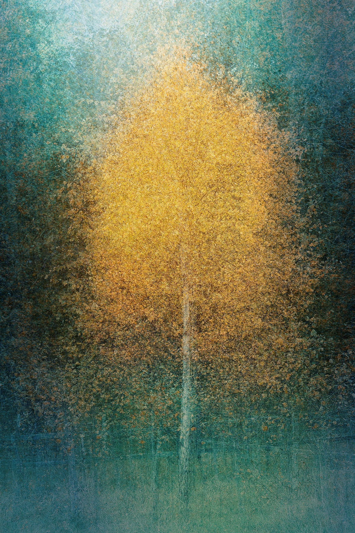 aluminium-print-young-at-heart-x