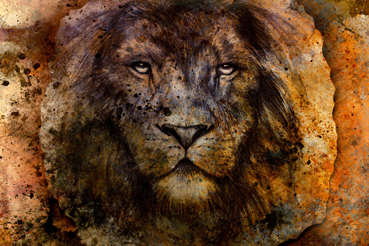 framedcanvas-print-portrait-of-a-lion-ii