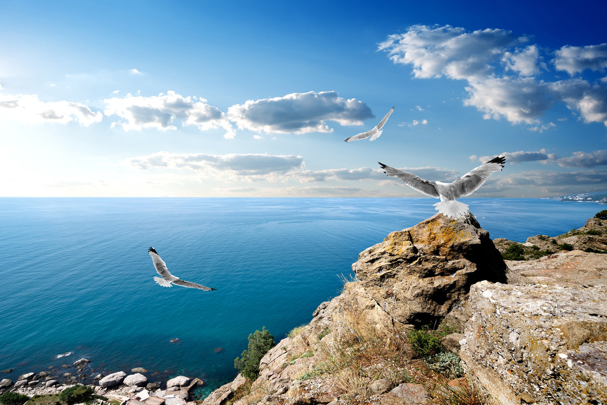 3-piece-aluminium-print-the-seagulls-and-the-sea