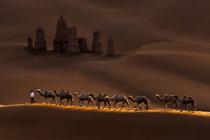 framedcanvas-print-castle-and-camels