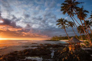 framedcanvas-print-return-to-paradise
