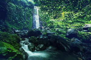 canvas-print-nature