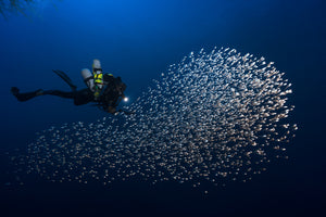 acrylic-print-alvin-shoal