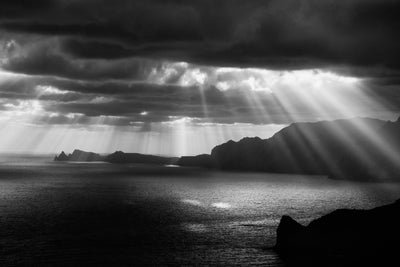 poster-print-morning-rays-x
