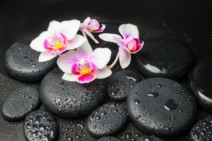 modern-3-piece-acrylic-print-feng-shui-orchid-zen