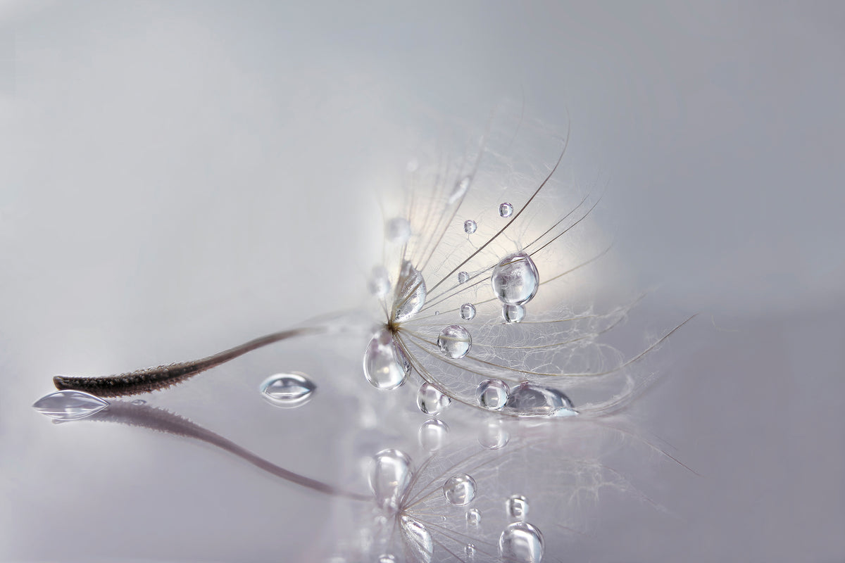 aluminium-print-silver-x