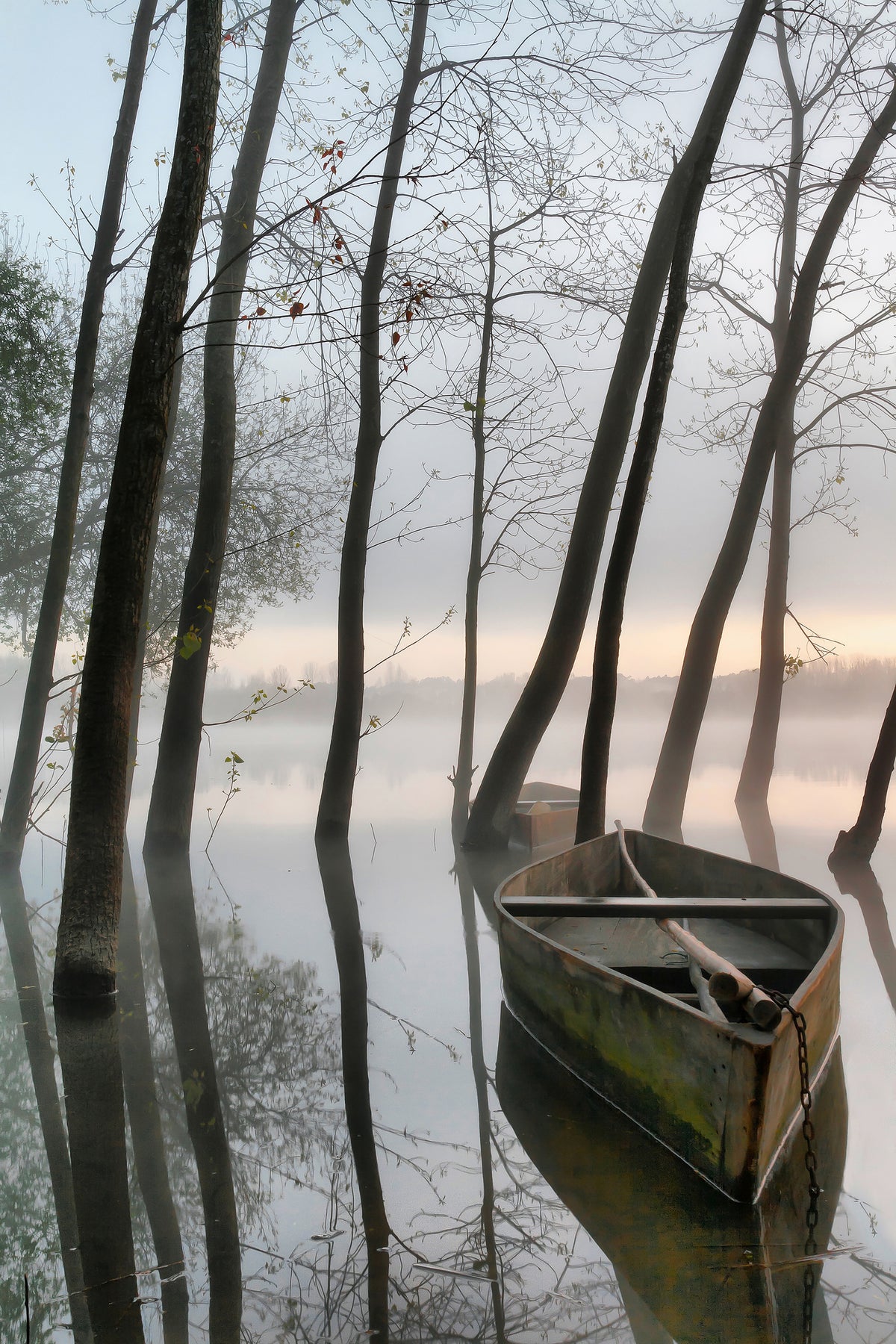 canvas-print-serene-dawn-x