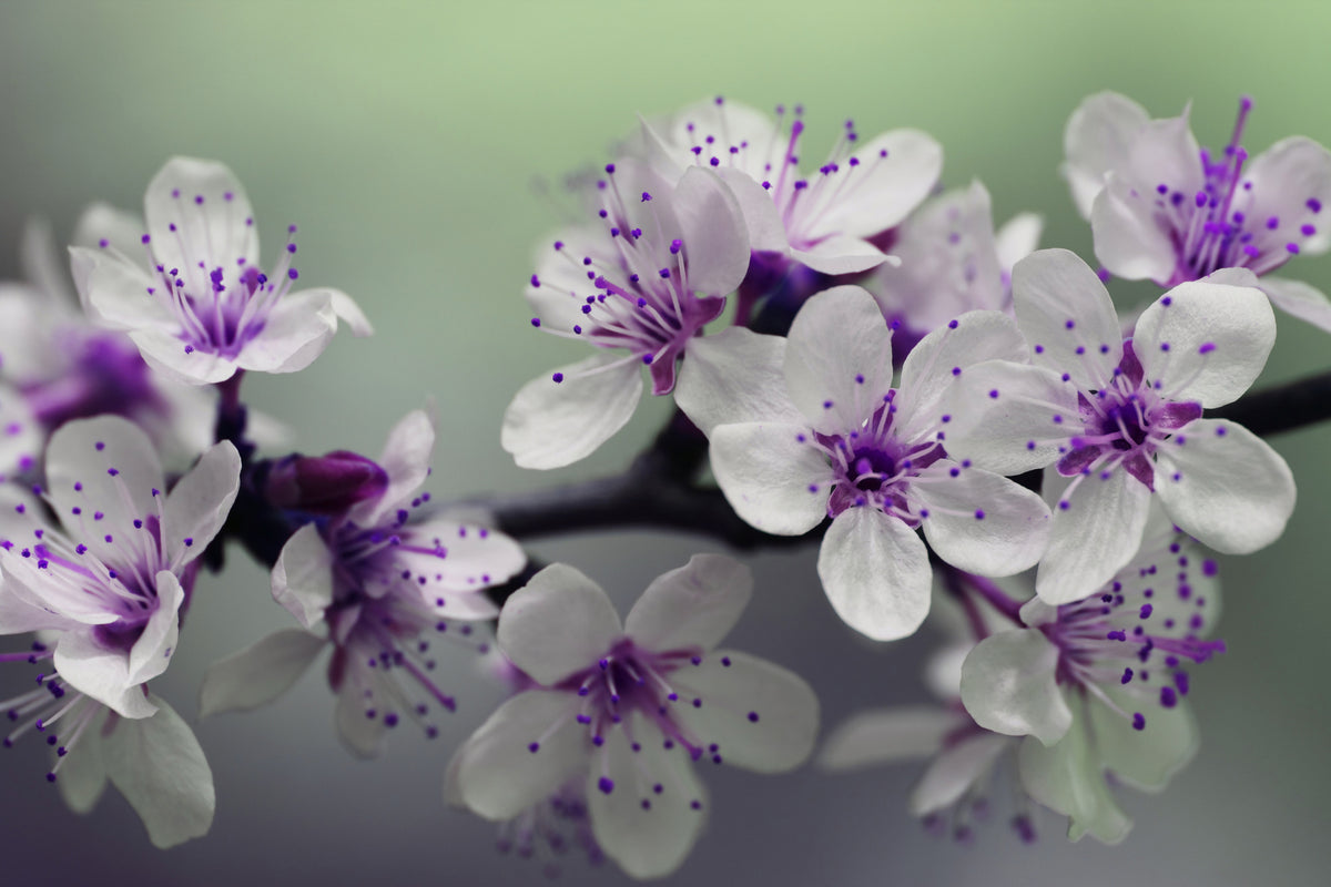 3-piece-aluminium-print-heyday