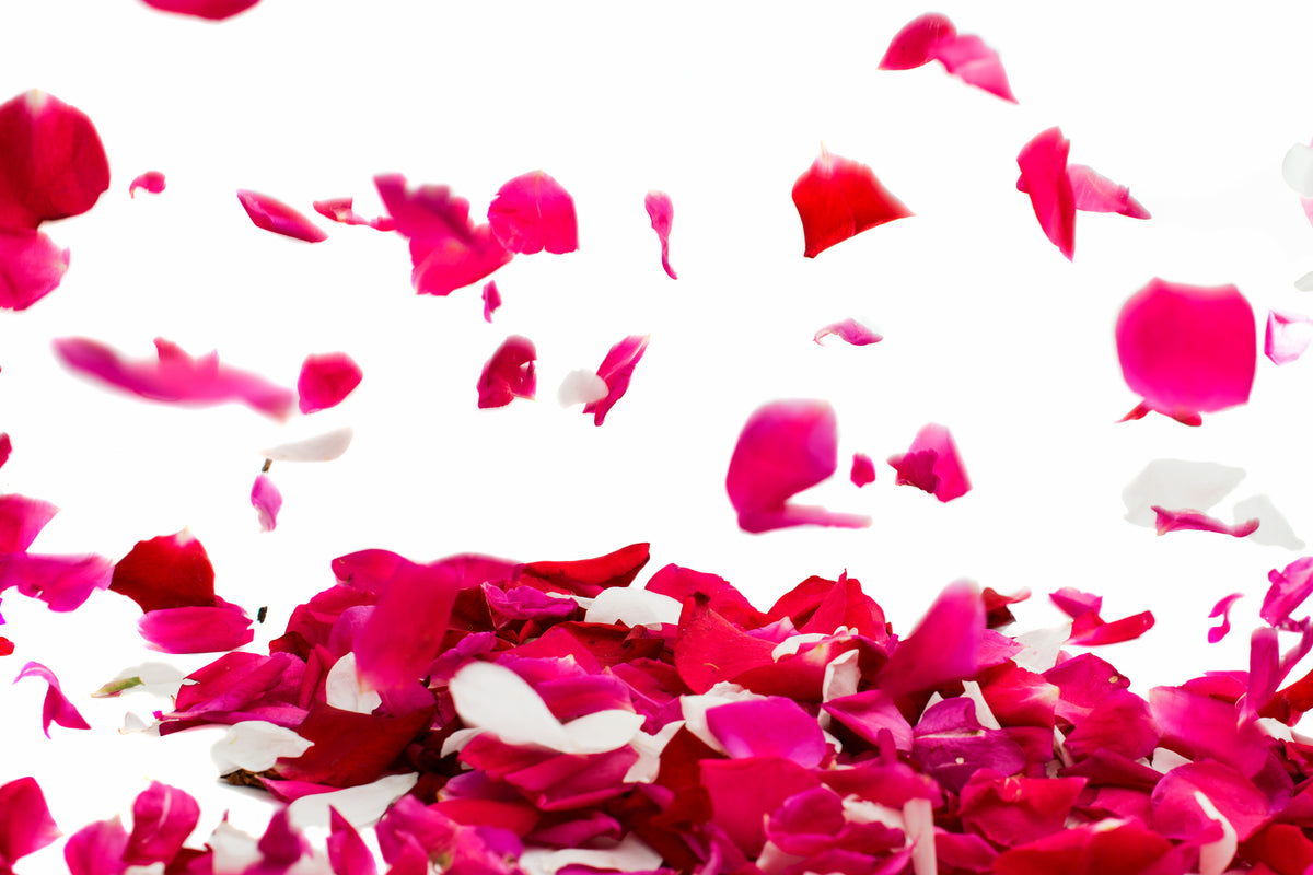 acrylic-print-let-it-rain-red-roses-for-me