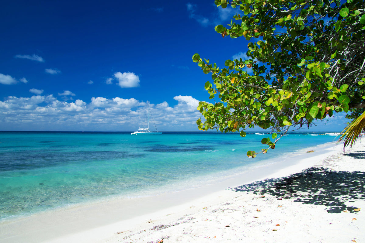 framedposter-print-happy-beach