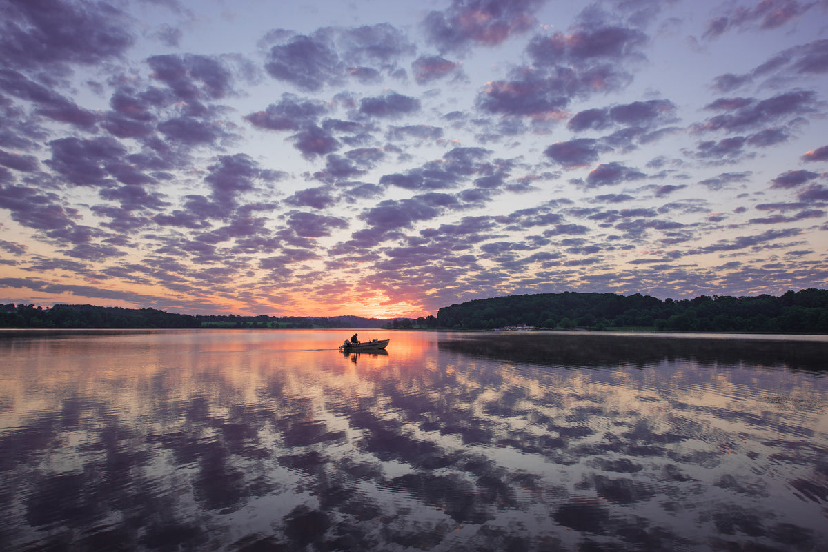 poster-print-morning