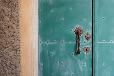 poster-print-the-special-door