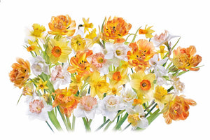 framedposter-print-spirited-x