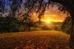 modern-3-piece-canvas-print-a-landscape-in-the-sunset