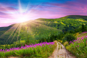 3-piece-aluminium-print-a-summer-landscape-at-sunrise