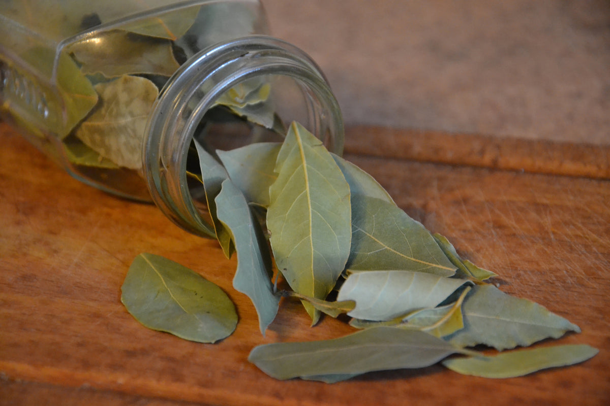 3-piece-acrylic-print-bay-leaves