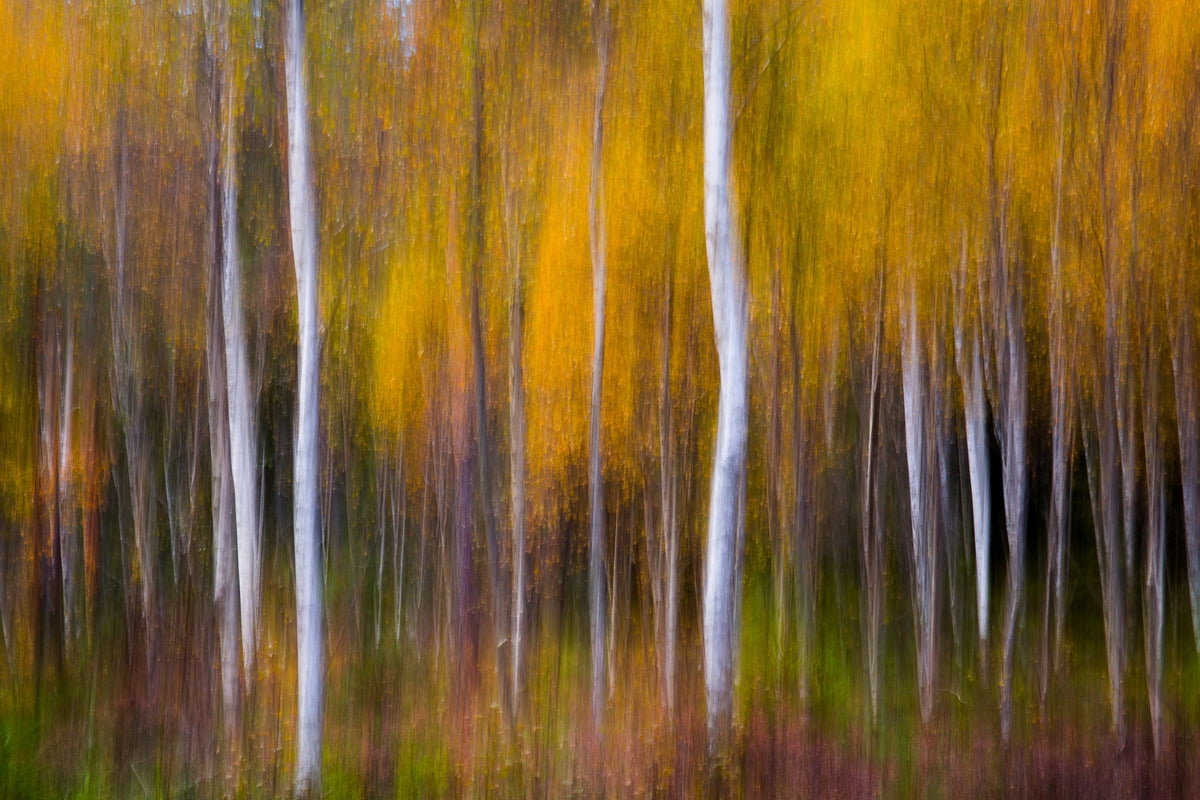 framedposter-print-abstract-fall