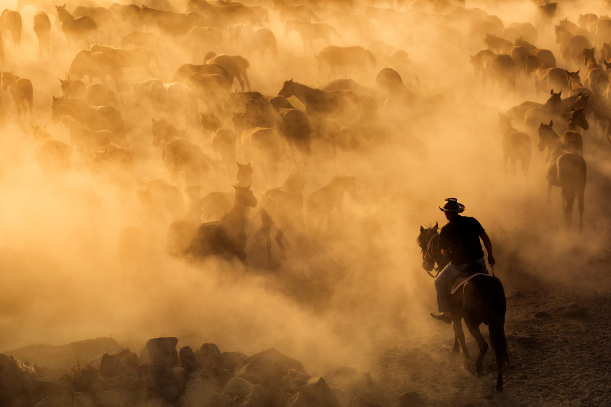 canvas-print-cappadocia-wild-horses-x