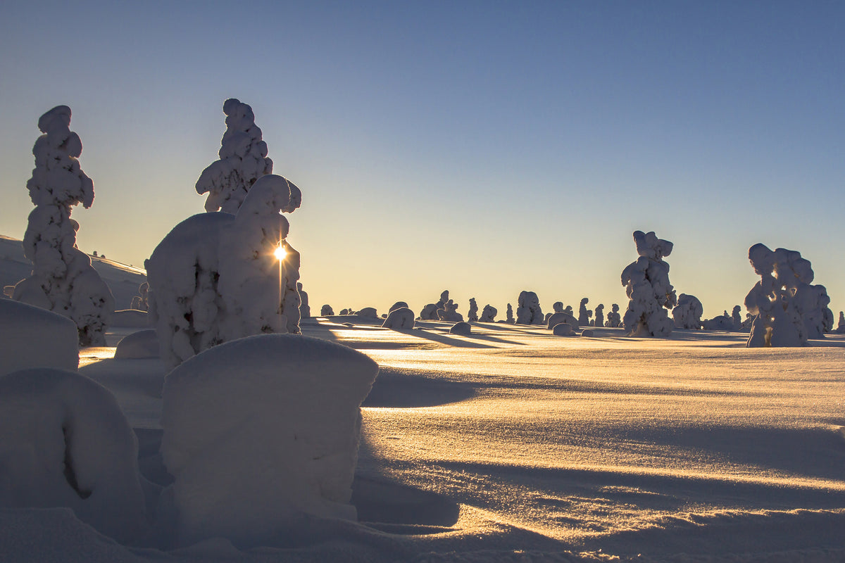 aluminium-print-in-lapland