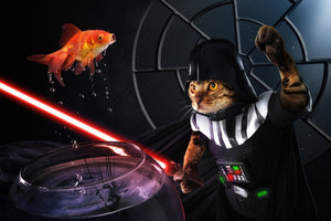 acrylic-print-darth-sushi