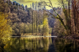 modern-3-piece-acrylic-print-lake-in-the-forest
