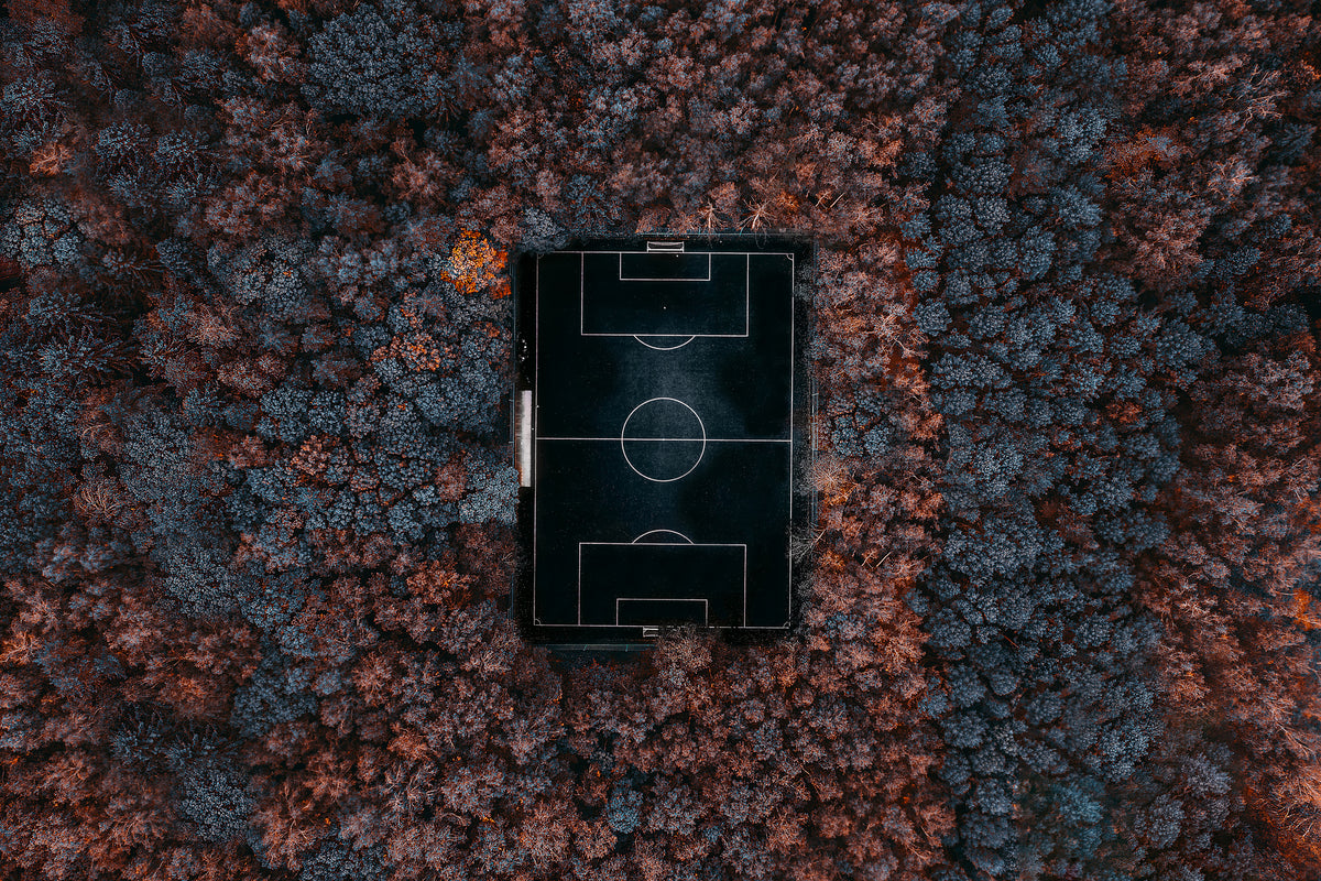 aluminium-print-playing-in-the-forest-x