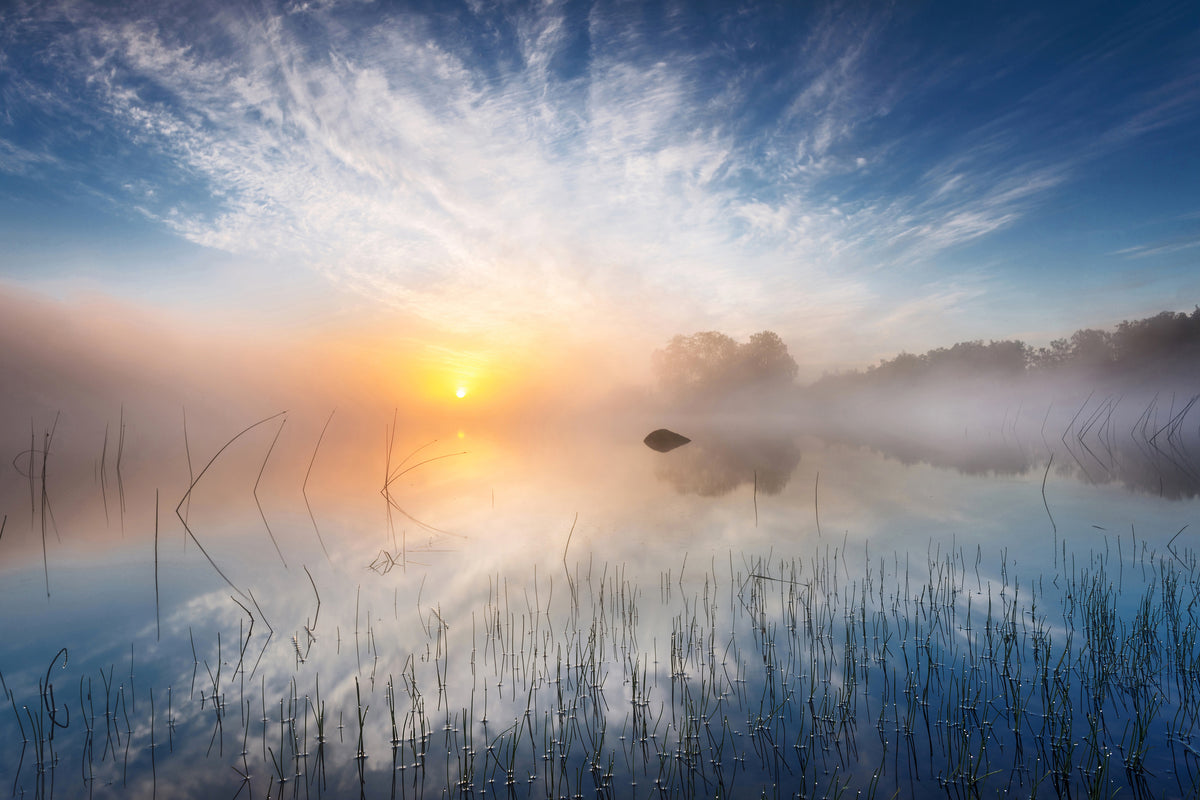 canvas-print-reflection