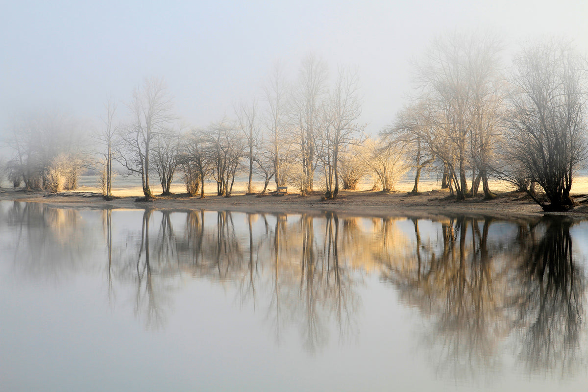 modern-3-piece-aluminium-print-january-morning
