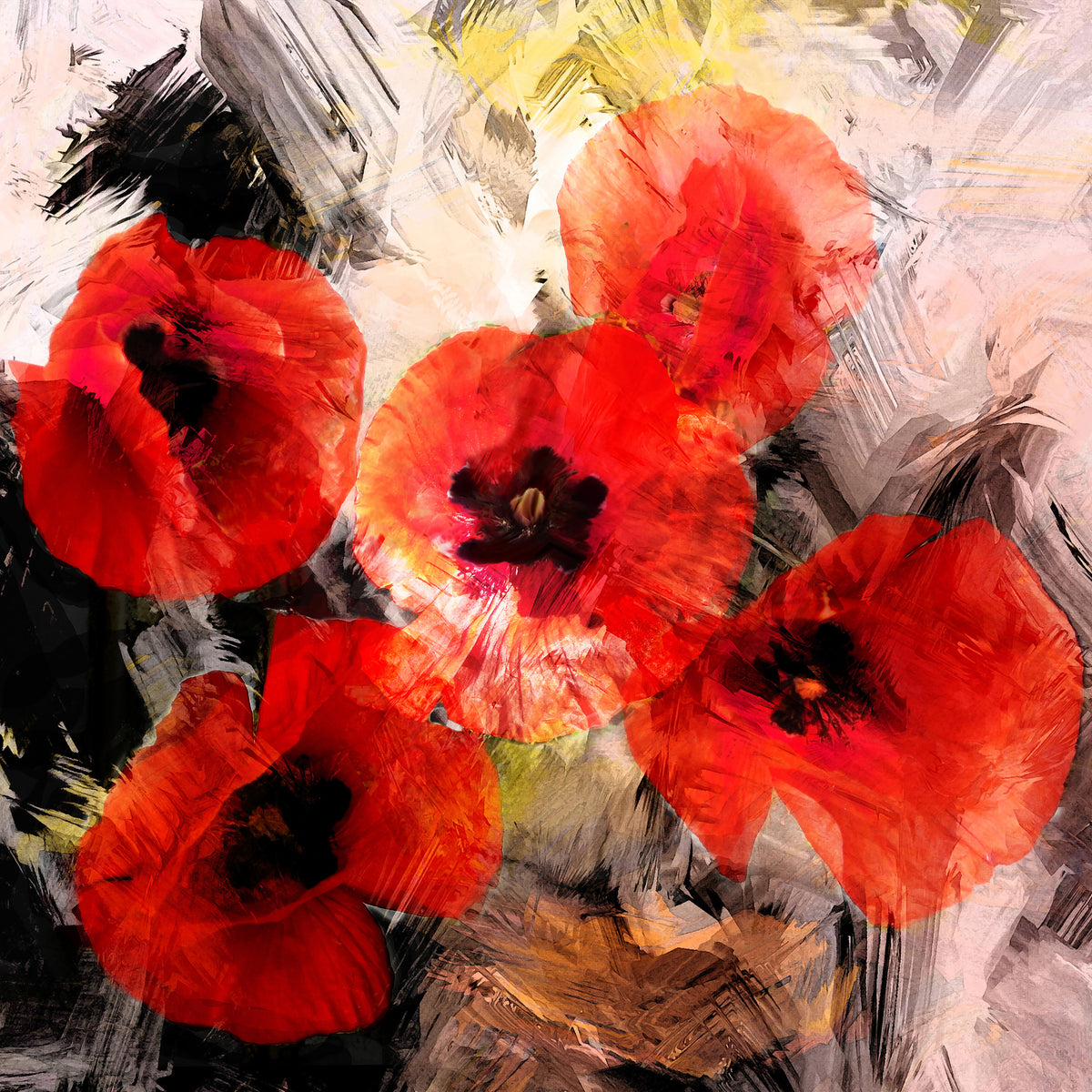 aluminium-print-poppy-portrayal