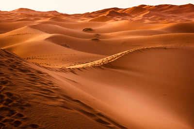 poster-print-traces-in-the-desert