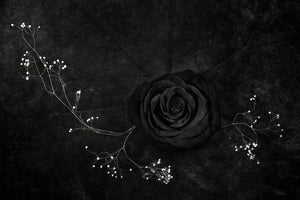 aluminium-print-rose-noire